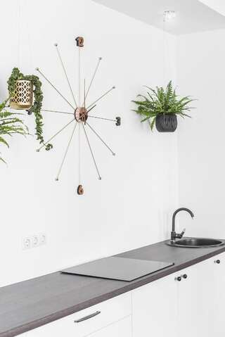 Апарт-отели Four Luxury flats Каунас Апартаменты с террасой-10