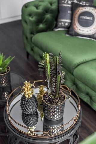 Апарт-отели Four Luxury flats Каунас Апартаменты с террасой-15